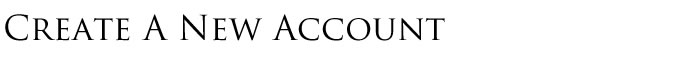 Page Title